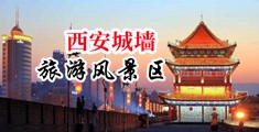 美女哦鸡巴中国陕西-西安城墙旅游风景区